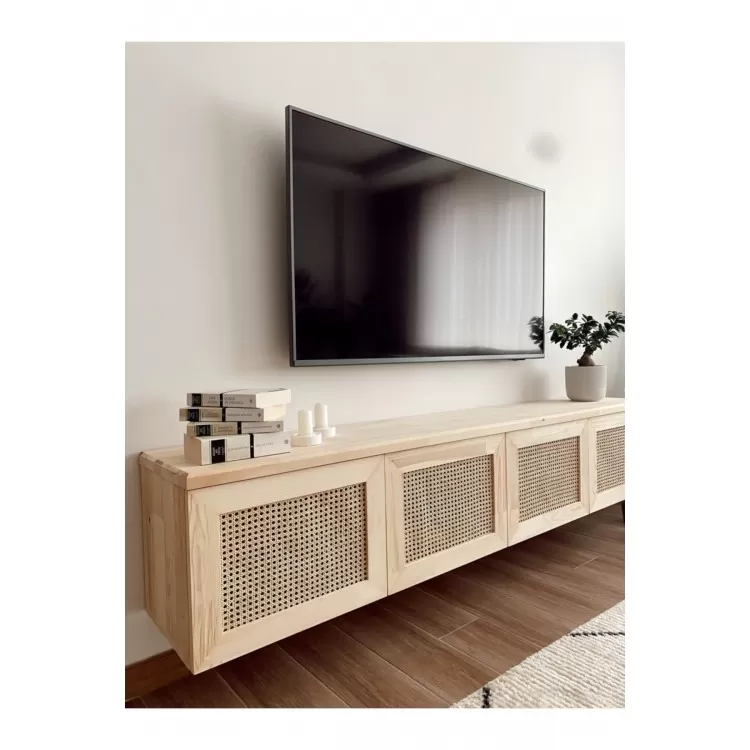 TV01